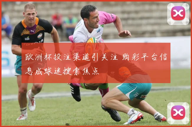 欧洲杯投注渠道引关注 购彩平台信息成球迷搜索焦点