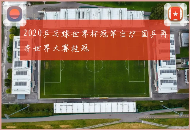 2020乒乓球世界杯冠军出炉 国乒再夺世界大赛桂冠