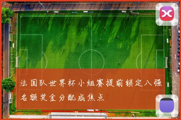 法国队世界杯小组赛提前锁定八强名额奖金分配成焦点
