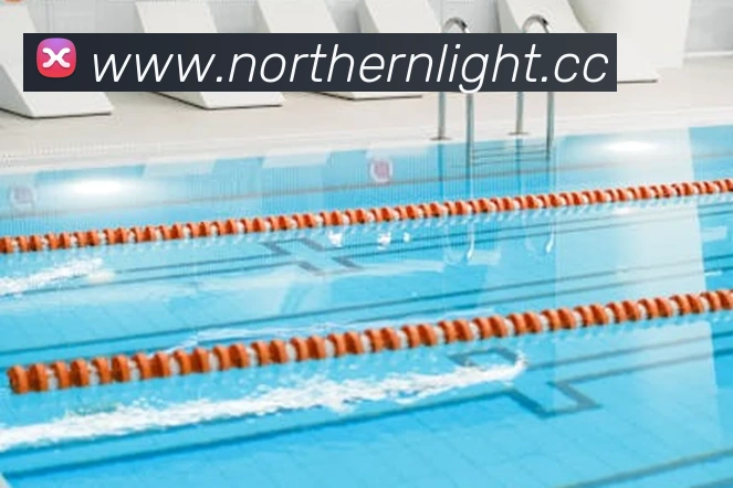 多媒体互动体验